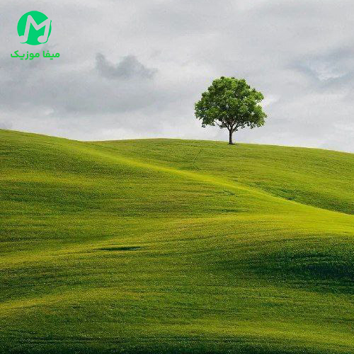 دانلود آهنگ میترسم وقتی بیای سنگ چینه دورم / لری