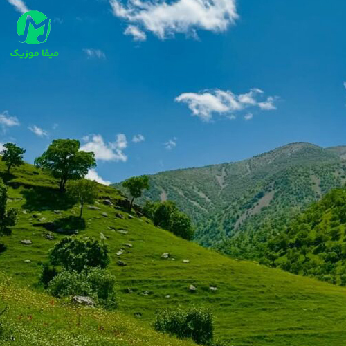 دانلود آهنگ نمیدونستم شدی دشمن / هوش مصنوعی