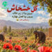 دانلود آهنگ گل خشخاش بیرون بیا از زیر خاک بیرون بیا / ترند اینستا