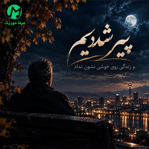 دانلود آهنگ پیر شدیم و زندگی روی خوشی نشون نداد / با پخش آنلاین