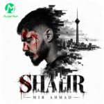 دانلود آهنگ شهر (اسمت رو من بود همه داشتنت) از میر احمد