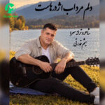دانلود آهنگ دلم مرداب اژدرهاست تنم زخمی خنجرهاست از میثم قدرتی چلارسی / با پخش آنلاین