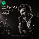 دانلود آهنگ دلم سوخت از فرهاد / ترند اینستا