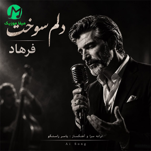 دانلود آهنگ دلم سوخت از فرهاد / ترند اینستا